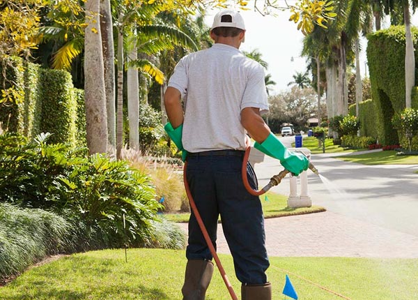 About North Pitcher NY Pest Control
